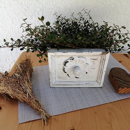 Ferienwohnung Deine Rauszeit 제바흐 외부 사진
