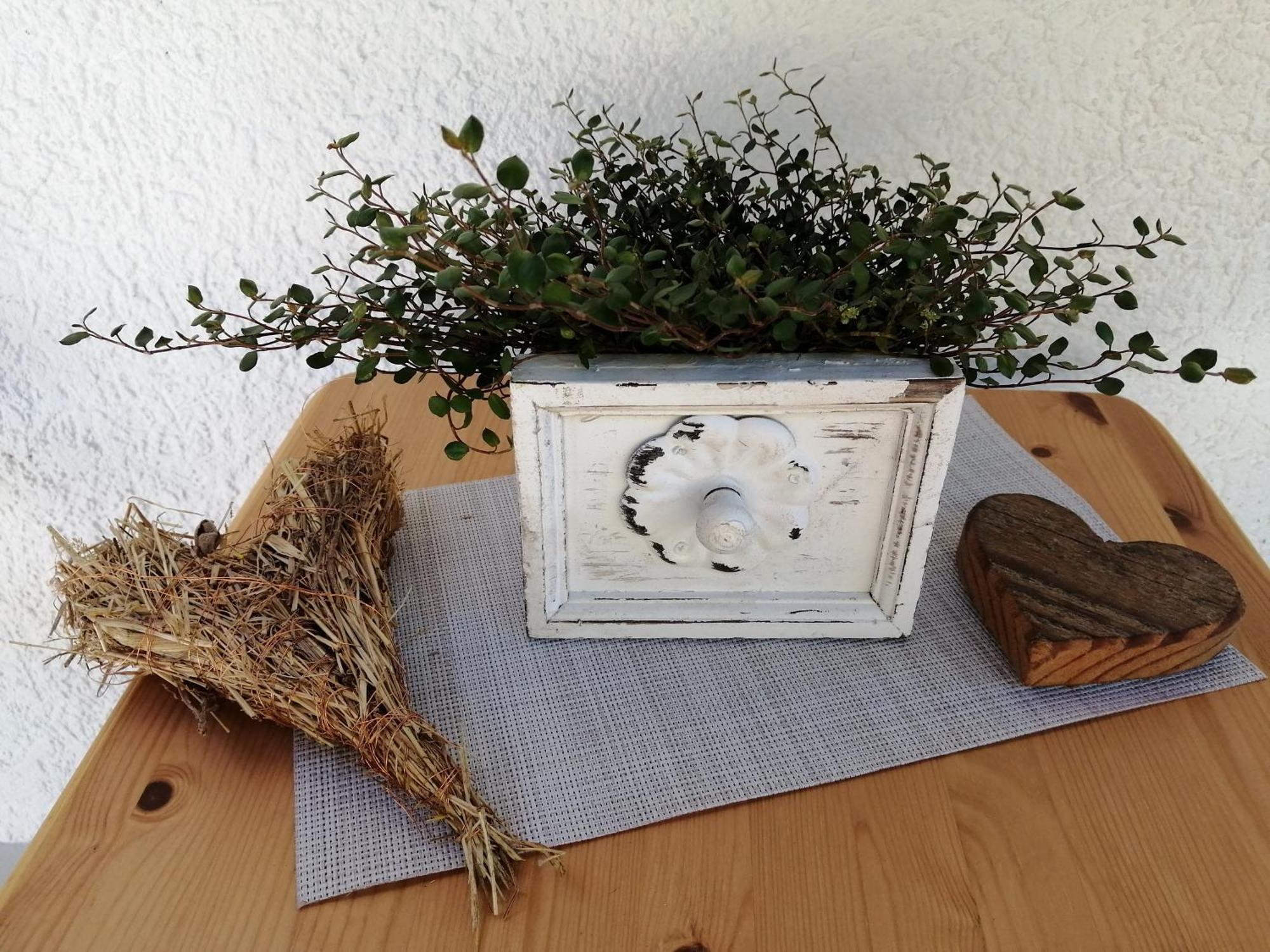 Ferienwohnung Deine Rauszeit 제바흐 외부 사진