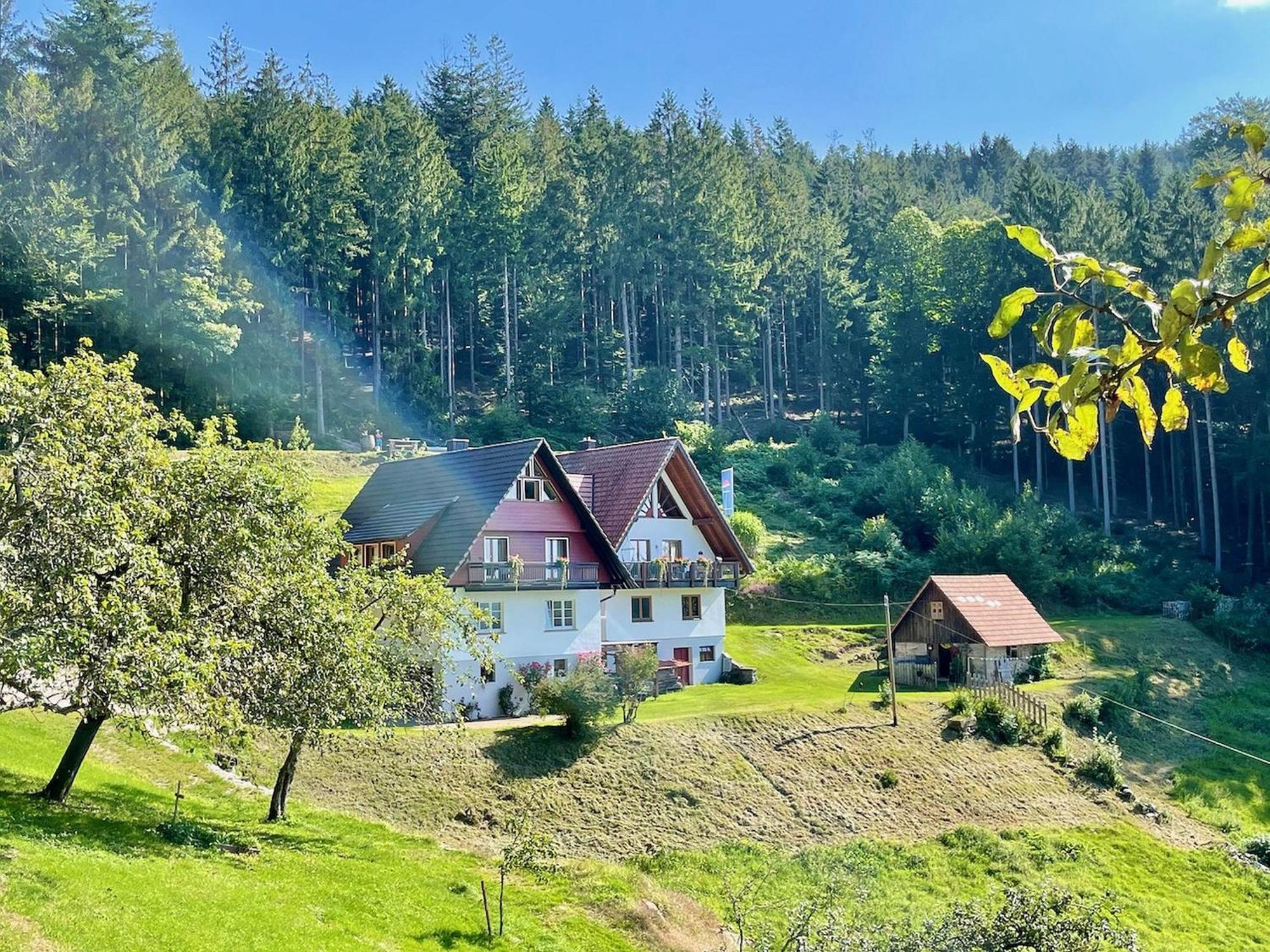 Ferienwohnung Deine Rauszeit 제바흐 외부 사진